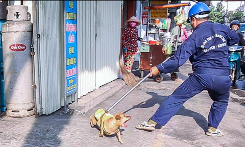 san-bat-cho-congancomvn-1.jpg