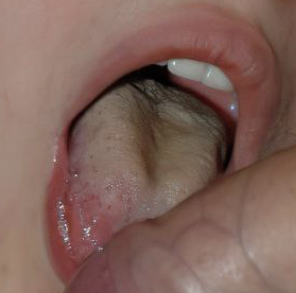 11DCC622-DE02-491B-994B-010B2DD5A9C5.jpeg