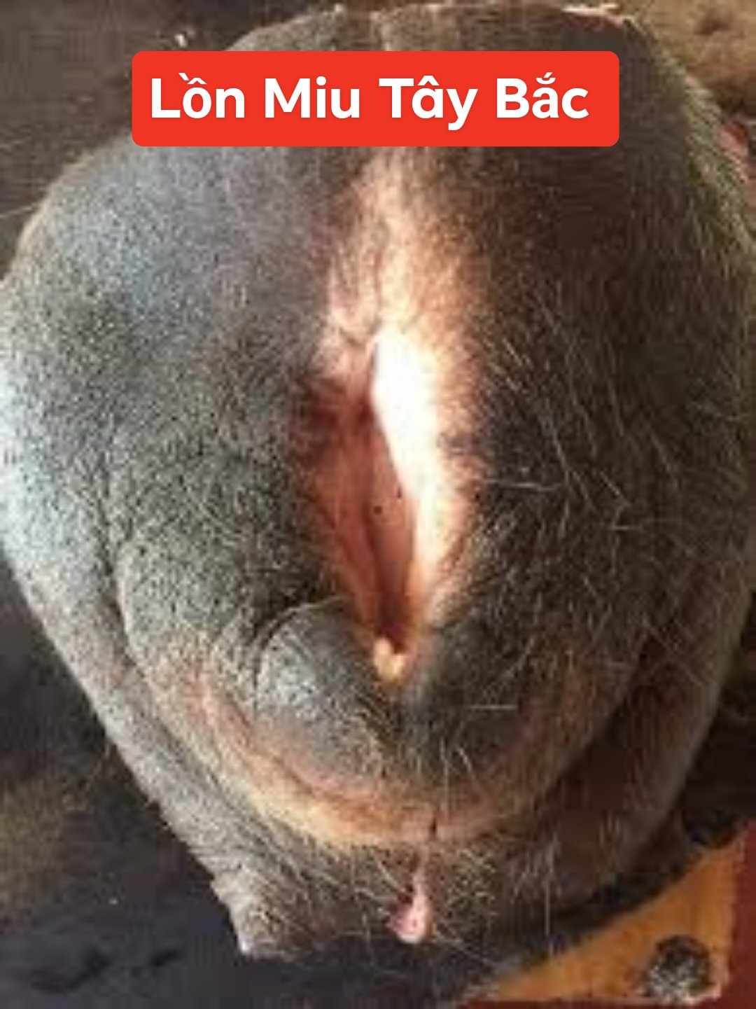 received_416842110684583.jpeg