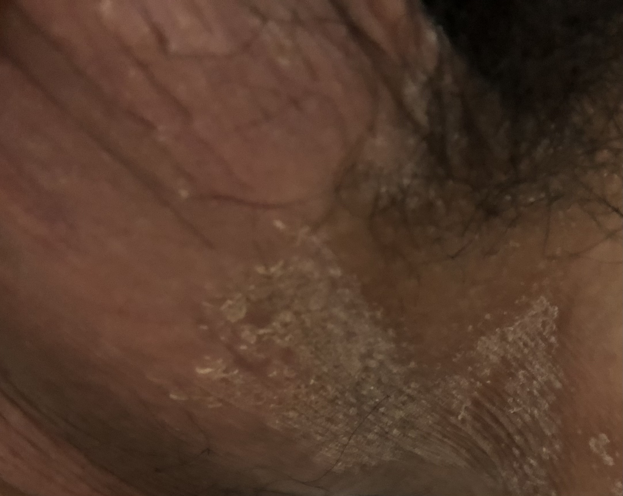 34F50182-A104-4F1F-9491-4B8AFAA31E01.jpeg