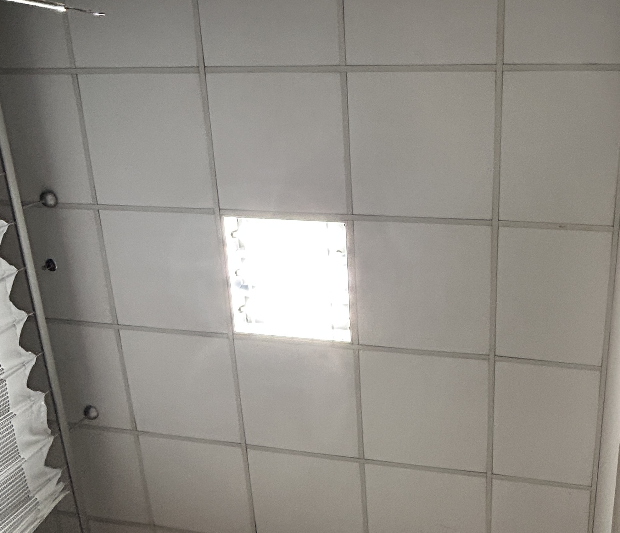 IMG_5297.jpeg