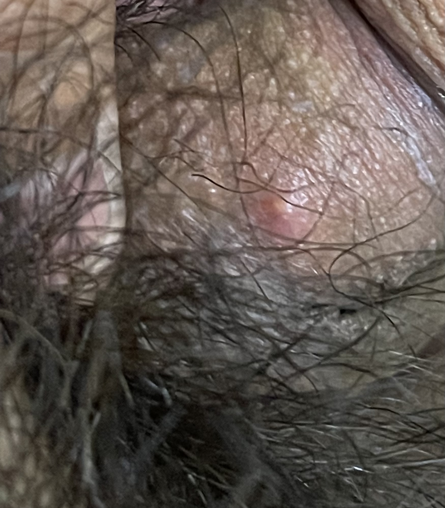 7DD0D907-784C-4FA7-BA6A-D5F397AC6A5C.jpeg