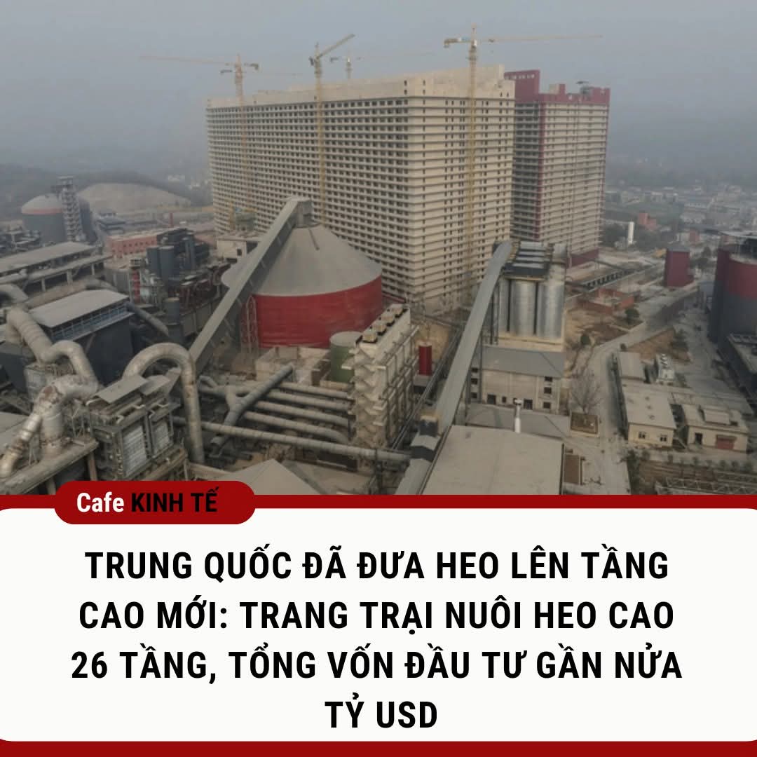 1000010892.jpg