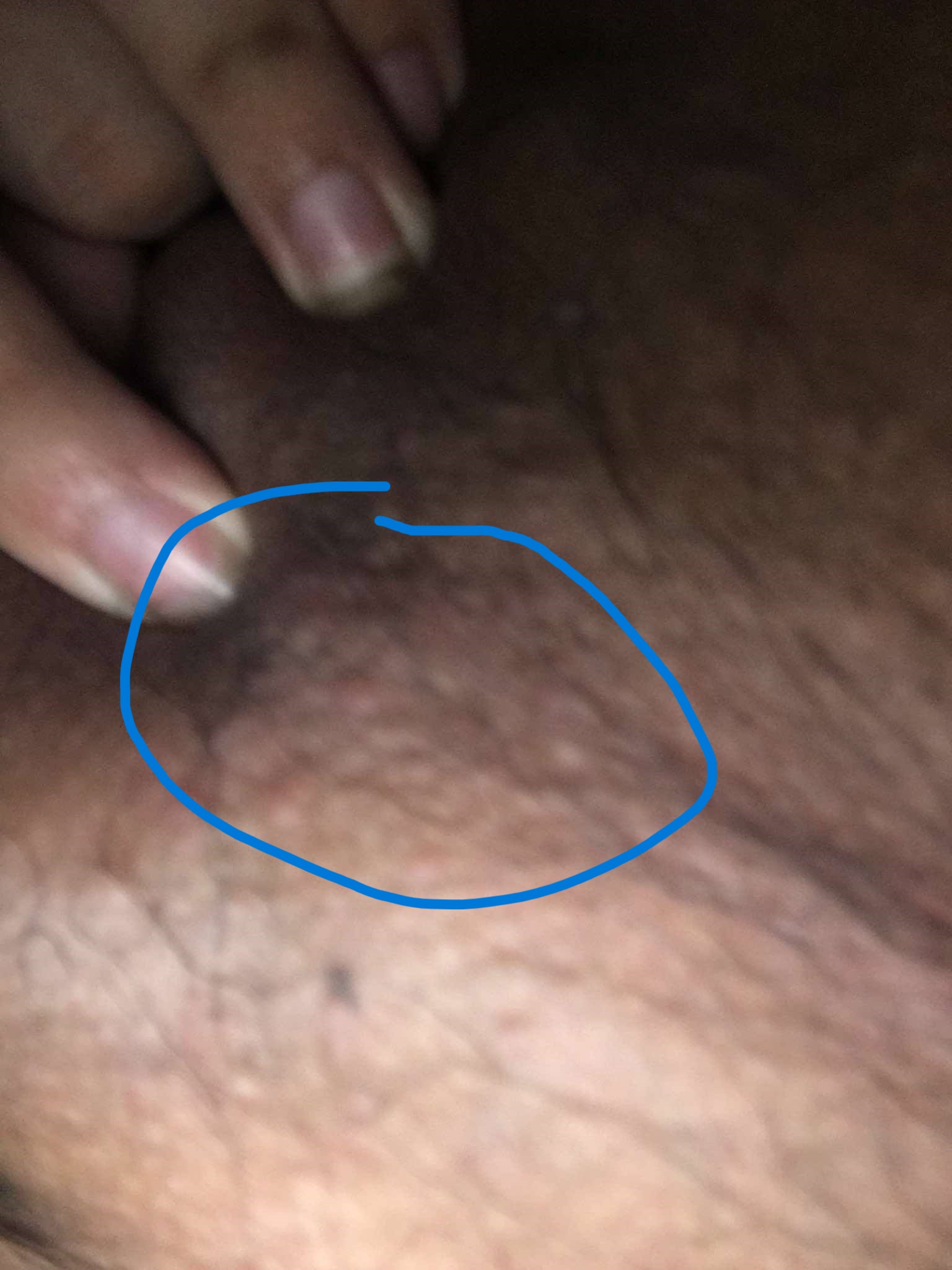 f84f25d8-0fe6-4b10-a7bc-08976c0c7173.jpg