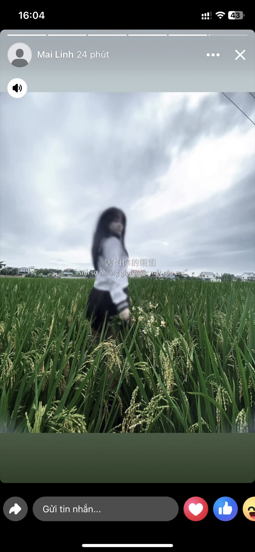 IMG_0874.png