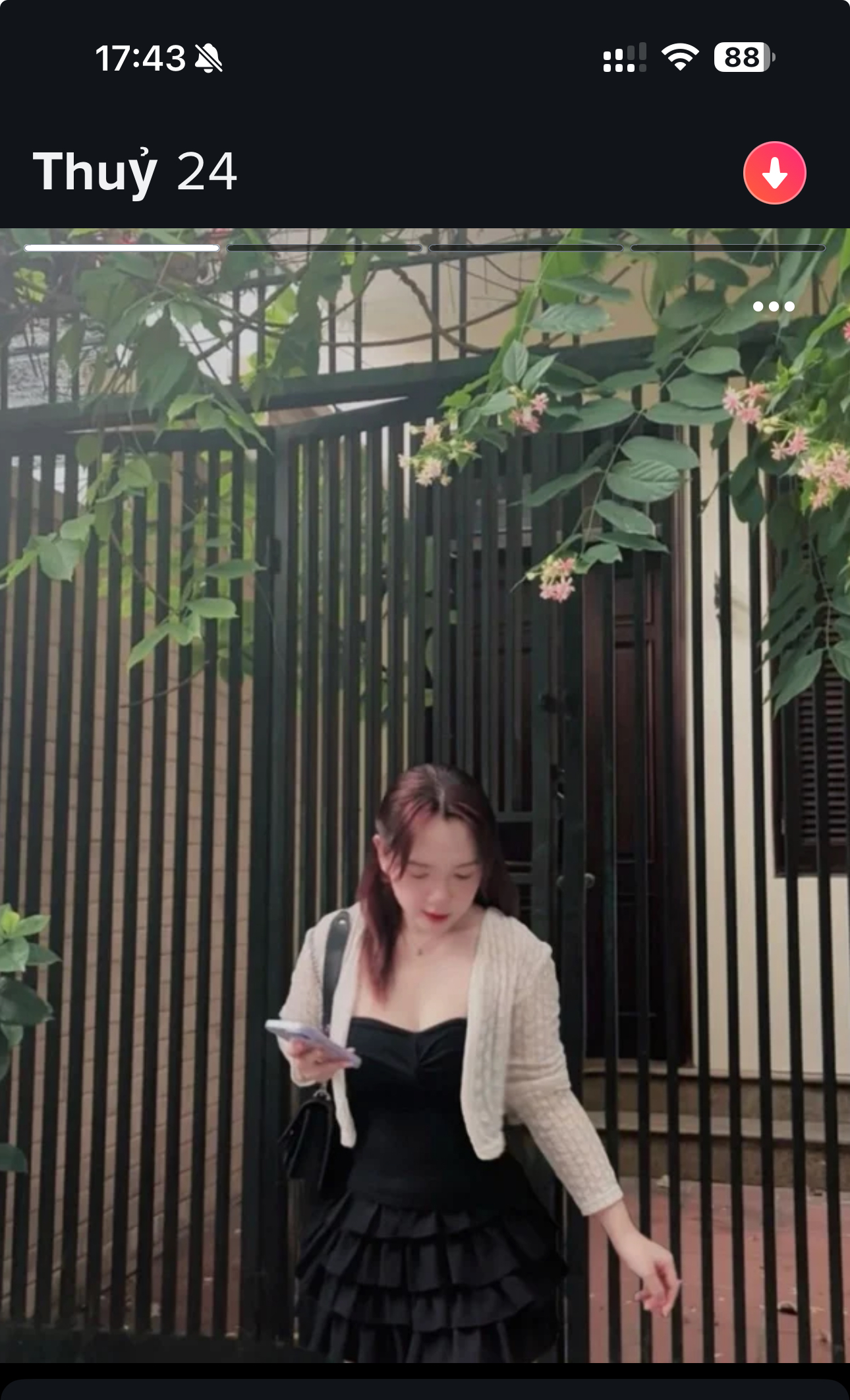 IMG_3511.jpeg