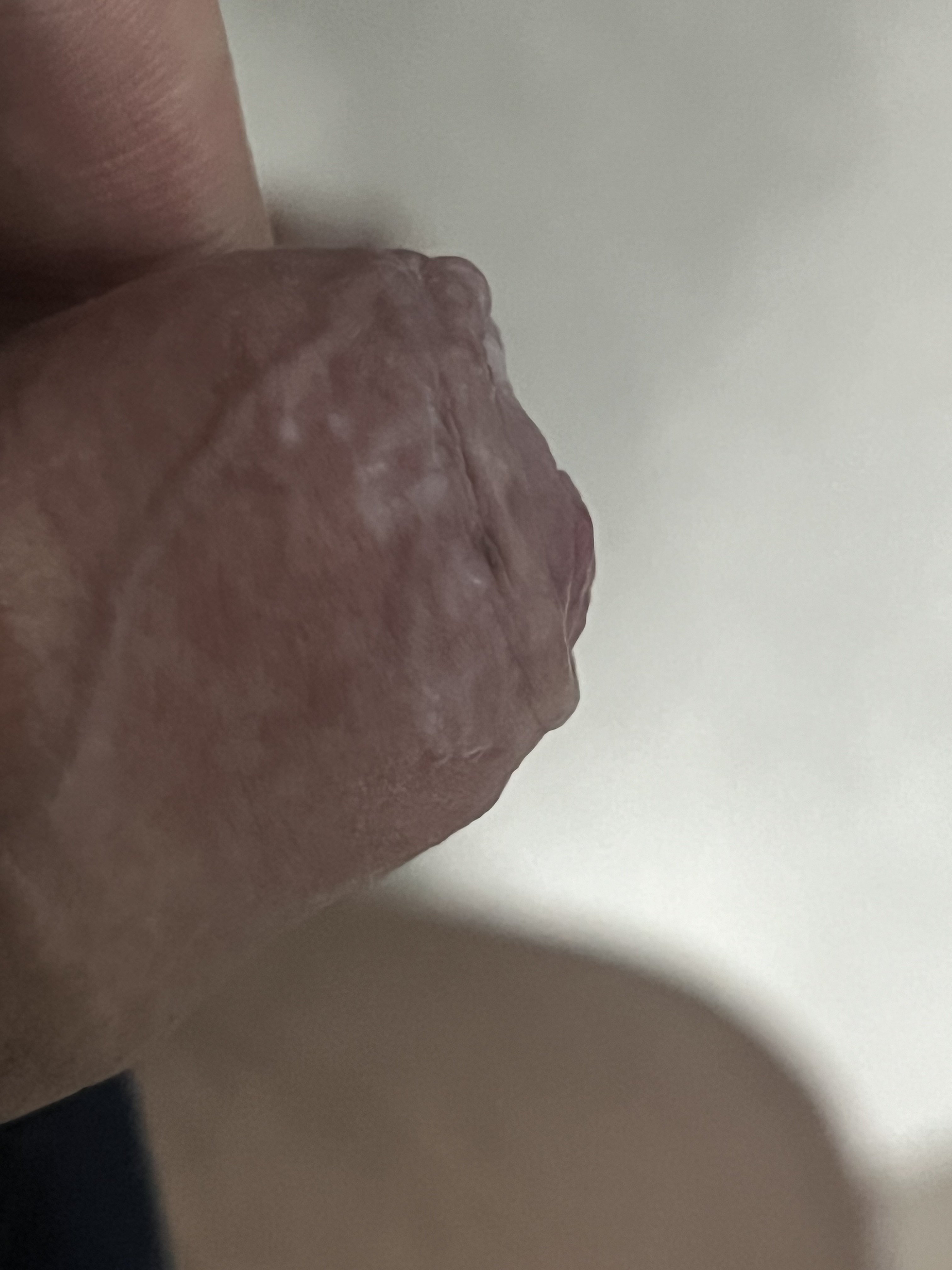 IMG_6852.jpeg