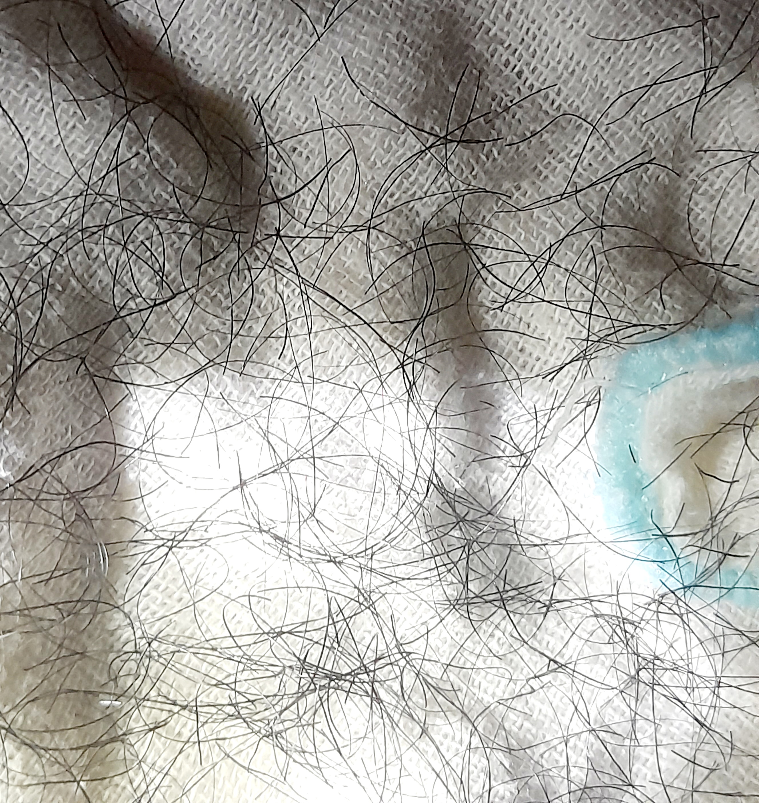 20251008_221926.jpg