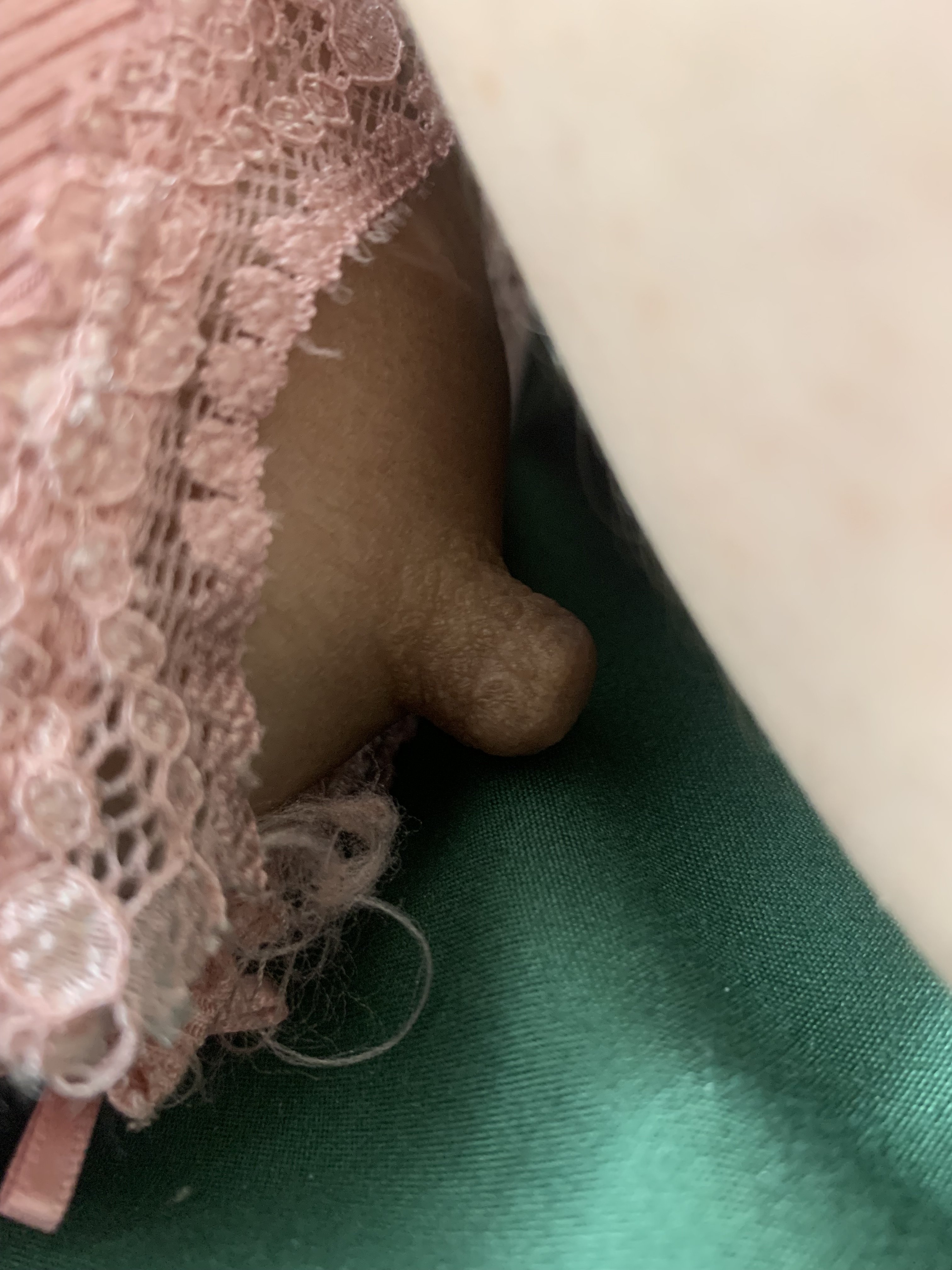 IMG_8591.jpeg