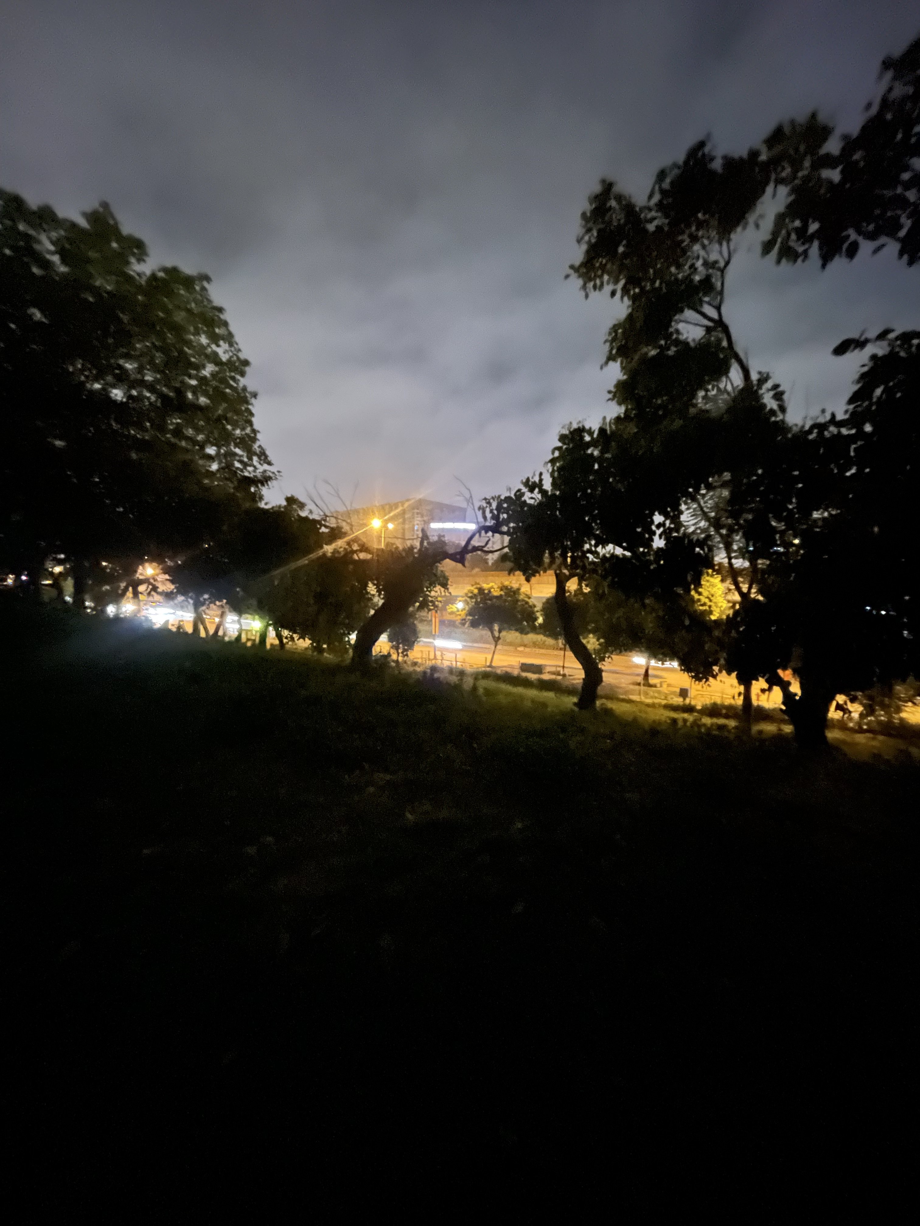 IMG_6006.jpeg