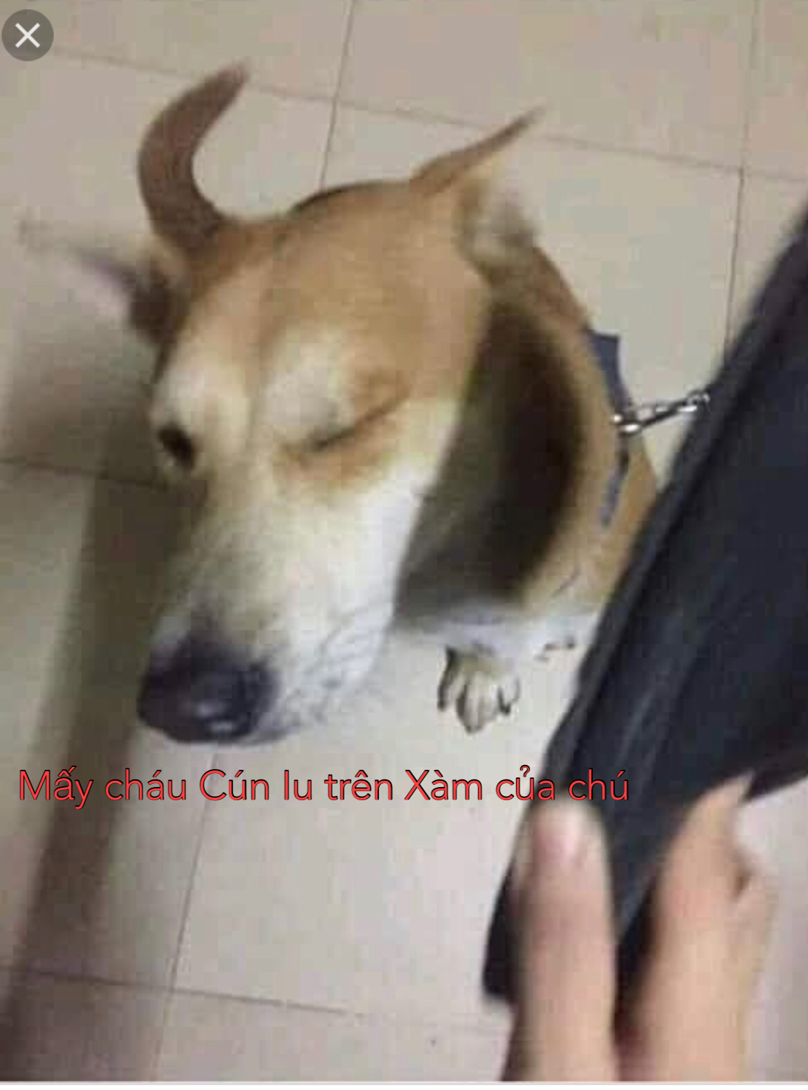 15064127-42D8-40D0-8B3C-80782D6DEBEB.jpeg