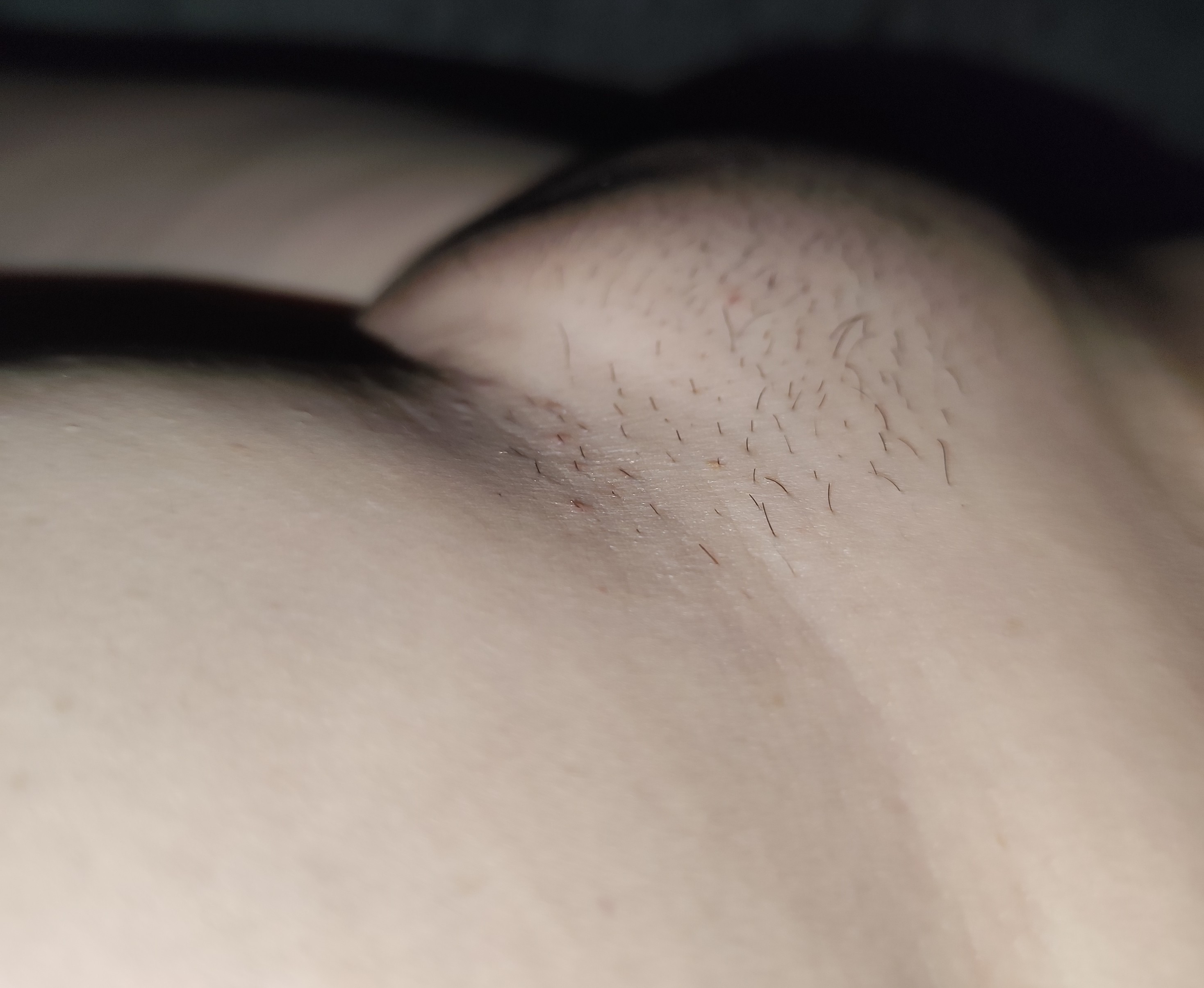 1000032526.jpg