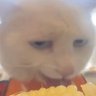 Meolol